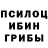 Псилоцибиновые грибы GOLDEN TEACHER Bill Luft