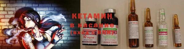 индика Абаза