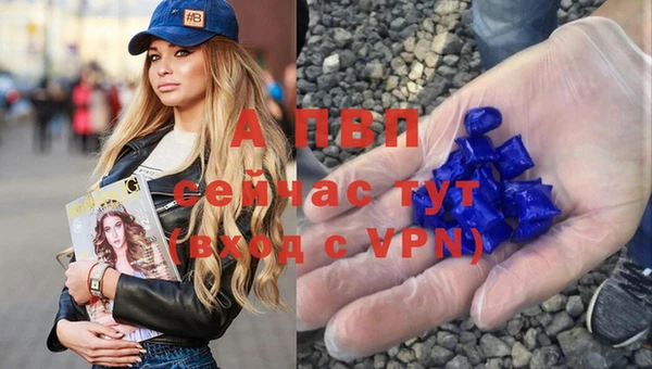 индика Абаза