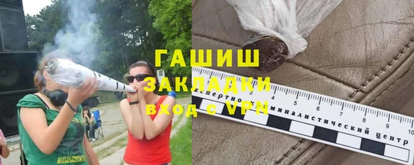 индика Абаза