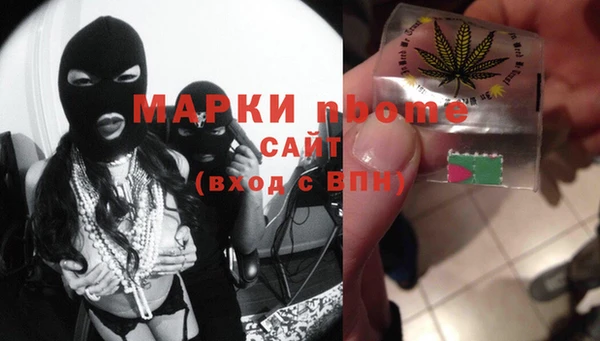 индика Абаза