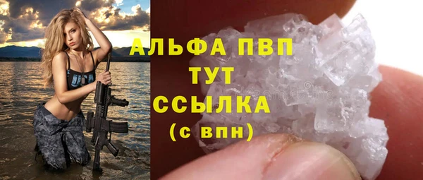 индика Абаза