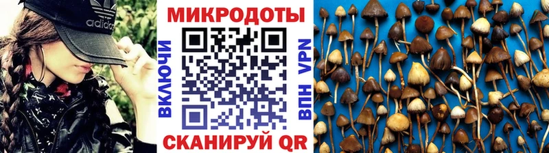 наркошоп  Тавда  Псилоцибиновые грибы GOLDEN TEACHER 